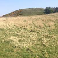 There are great views at the top of Dechmont Law including Arthur’s Seat, the Forth Bridges, shale bings etc