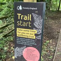 Go through the gate and read the information on the trail start sign. Spot birds in the trees on your way