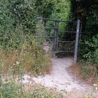 Go through the first kissing gate on your left
