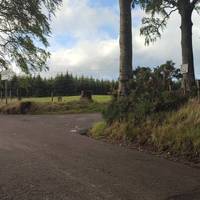 Turn Right at crossroads. Look out for signs (on the trees) for the Beeches Nursery