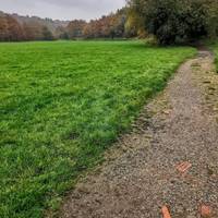 The stony but level path offers fine views over the wooded valley to the left.