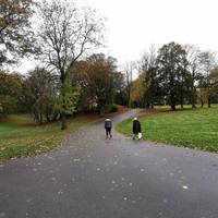 At the wide junction, proceed ahead up the broad hard-surfaced path, keeping left at a fork. The gradient may be too steep for some.