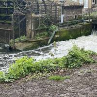 The Merton Abbey Mill will be across the river.