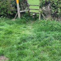 Continue on the path until it exits onto the B52 Desford Road. Start by going over this stile.