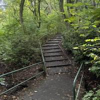 Continue on the path up some steps.