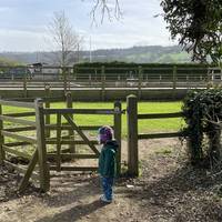 Head through the gate and turn right, past the show jumping practice area