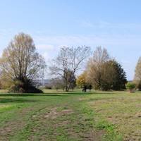 Riverside park is a lovely green space which stretches from here down to the River Crouch.