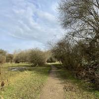 Go straight ahead along the wide dirt path, first through an open area and then under overhanging trees.
