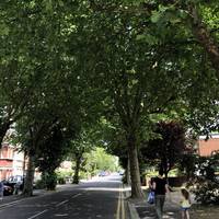 Turn left outside the station and walk past the shops along tree-lined The Avenue 