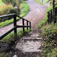 At the bottom of the path you will be met by a set of small steps which leads onto a path alongside Ealees Brook. Take a sharp left.