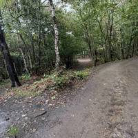 Go down the slight incline or there is a shorter steeper incline. At the bottom of this incline you will start to see the asparagus signs