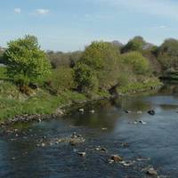 This is the River Derg. A tributary of the River Mourne. Salmon and trout can be seen in this river.