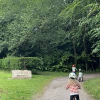 Follow the gravel track to the right by a large boulder sign for Shearwater.