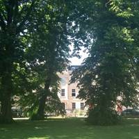 Start in Portland Square. Enjoy the variety of trees and the flowers.