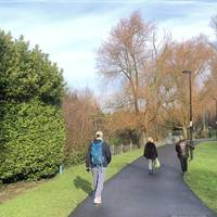 You’ll meet friendly dog walkers, families walking and cyclists along this route.