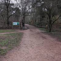 Follow the path slightly up hill still following the Major Oak Trail