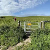 Immediately turn left and head through a metal kissing gate, signposted for the Mid Wilts Way and Pewsey Vale Circular. Head straight.