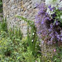 It’s quite steep so take care walking down. Some beaut plants along the way. The lane doesn’t have a path so watch out for vehicles