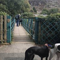 Park in Beddgelert and find the footbridge over the river. Cross over onto the green, then turn left along the riverside