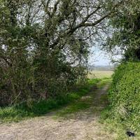 Just after ‘Topthorn House’, turn down the footpath on your right.