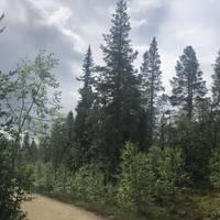 Lovely mountain air!