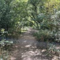 Monks Wood is a National Nature Reserve and SSSI. Help protect it by keeping to the paths. Head left to follow this mini jaunt.