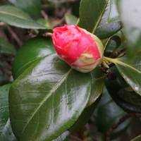 The rain ad just stopped and the smell was amazing. Felt like another world.