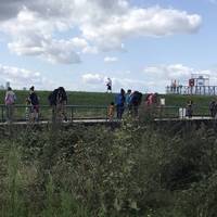 The bridge is a great place to play Pooh Sticks!