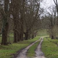 Along the road was smaller, dirty, roads with alleys of trees.