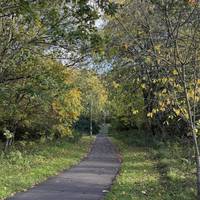 Head along the path through the woods. Take a moment to admire the shapes and colours of the trees.