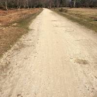 Follow the gravel track until you come to a beautiful bridge.