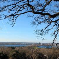 Follow the path, through the forest with the reservoir to your left