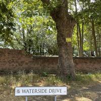 Start at All Saints Park by Waterside Drive.