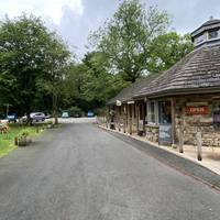 Park at the Strid wood tearoom at the top end of the Bolton Abbey site.  Walk down and follow the path.
