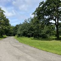 Follow the flat tarmac path ahead. Enjoy views across the park on your right.