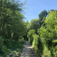 The path is good under foot and you instantly feel surrounded by beautiful nature.