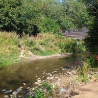 Continue along the cycle route keeping the River Rea on your left. Egrets and kingfishers are known to fish in these waters.