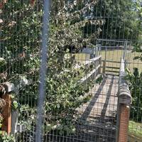 This walk starts at the Stoney Littleton Long Barrow Car Park on Littleton Lane. Parking is free but as of Summer 2025 the path is closed.