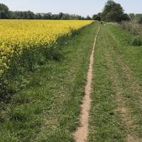 The path runs along the side of Abington for about 1km. After the Abington Marina you start to enter fields.