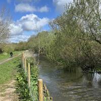 Walk along the banks of this beautiful chalk river. A biome almost entirely unique to southern England!