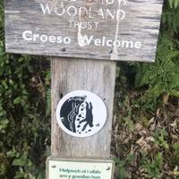 This is an entry point to an ancient woodland, now managed by the Woodland Trust