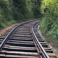 Head down the side of the track and keep an ear out for trains!