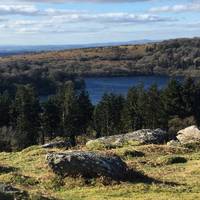 You get fab views over Burrator Reservoir. It congrats sharply with the rugged Dartmoor tors.