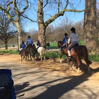 Walk along the main path which as a special horse riders lane on the side. This route will take you to the Serpentine. Mind the horses!