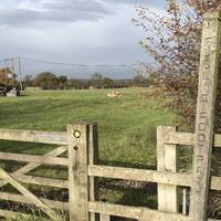 Right from Nankirks Lane you’ll find a stile, not any old stile, the stile you need to conquer - head straight over the fields...