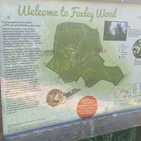 Foxley Woods