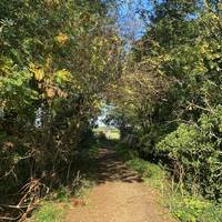 Continue straight and you will come to a bridge