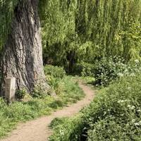 Follow the unpaved path through the trees.