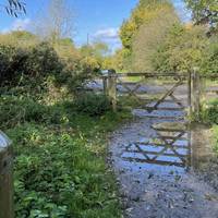 Go through the gate onto the Marsh and turn right.