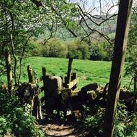 After a while, as the lane bears right down the hill, you will spot a footpath on the left leading out across fields...